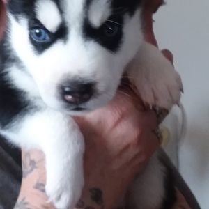 Meet your Posher, Lynn